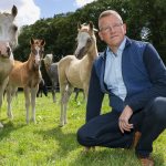 Harold Zoet in weiland met Welsh pony's BIJGESNEDEN VERKLEIND