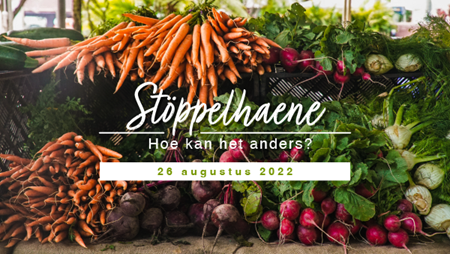 Stoppelhaene