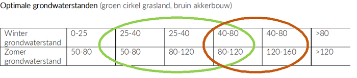 Tabel optimale grondwaterstanden (VKZH)