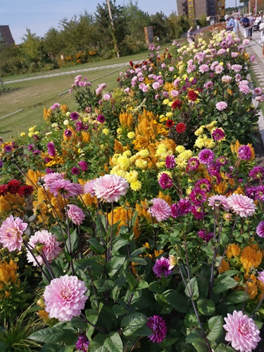 Floriade Vrouw en Bedrijf